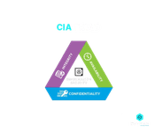 What is Information Security