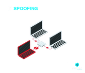 IP Spoofing